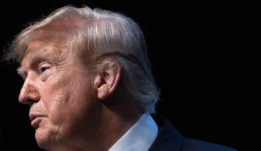 Trump fires last three members of election commission amid fears of elections ‘chaos’ – The Irish Times