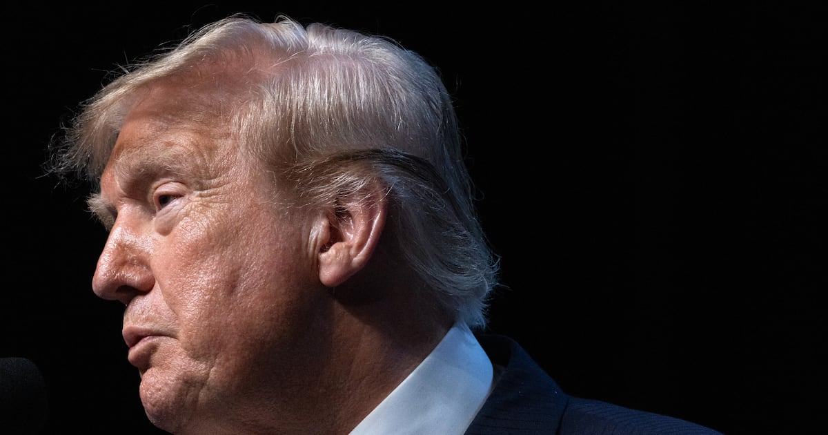 Trump fires last three members of election commission amid fears of elections ‘chaos’ – The Irish Times