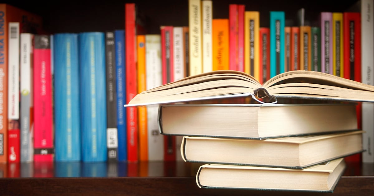 Page turners: 10 books to help you fall back in love with reading – The Irish Times