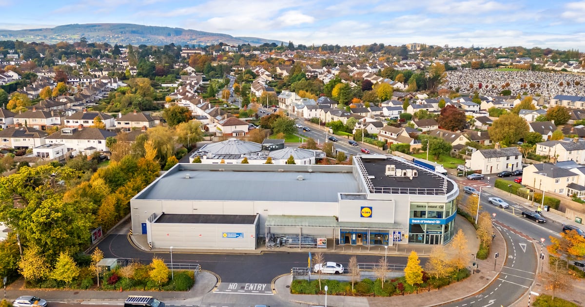 Lidl to shut landmark south Dublin store in final quarter of 2026 – The Irish Times