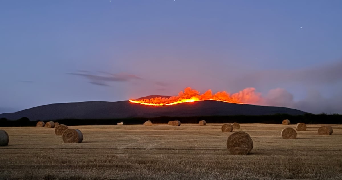 Tipperary fire crews preparing to ‘go back up and tackle’ blaze on Slievenamon – The Irish Times