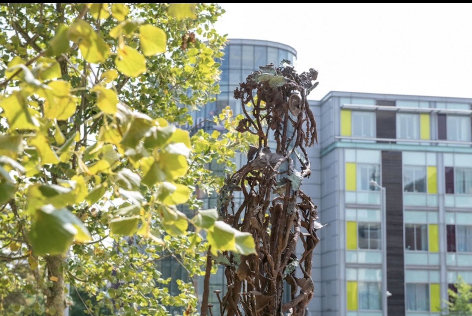 Maid Marian statue unveiled in Nottingham City Centre Screenshot 2026 07 18 at 19.01.48