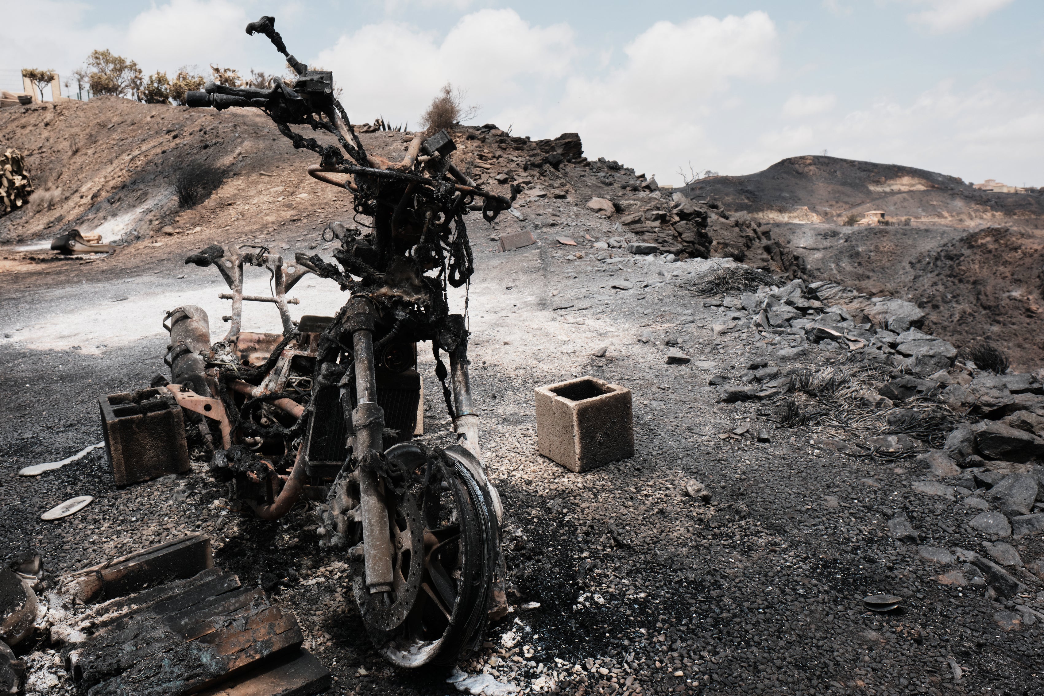 A view of a burnt area affected by wildfires in Bedar, near Almeria, Spain, Saturday, July 11, 2026. (AP Photo/Gregorio Marrero)