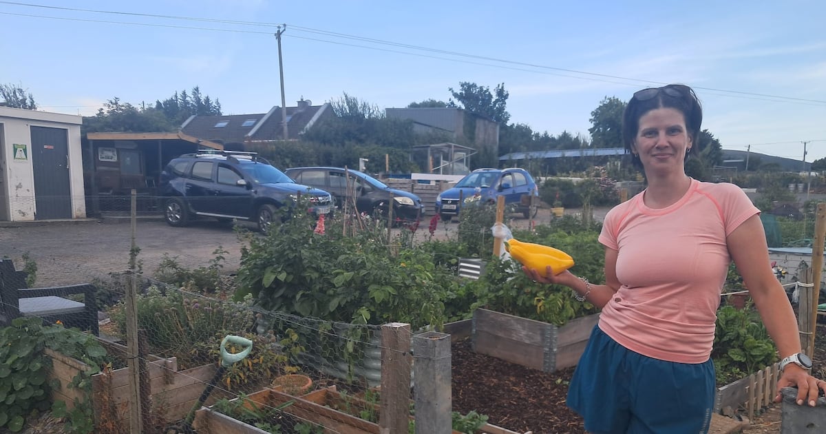 ‘It’ll take an hour to water this patch’: hosepipe ban brings heavy lift for allotment owners – The Irish Times