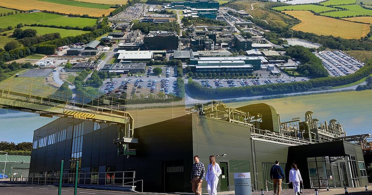 Eli Lilly cites health and safety issues as reason for extra car parking spaces in Kinsale – The Irish Times