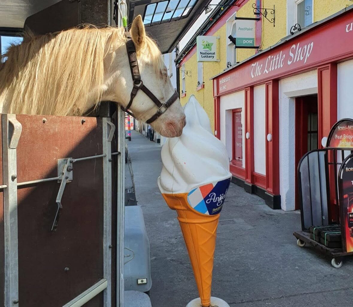 County Carlow community breathes sigh of relief as long established business issues an update