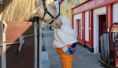 County Carlow community breathes sigh of relief as long established business issues an update
