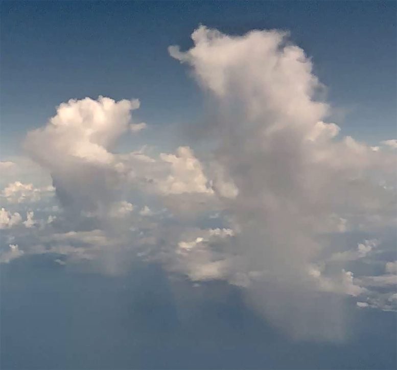 Tropical Convective Clouds With Rain Shafts