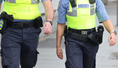 Former garda injured by belligerent prisoner awarded €458,000 by High Court – The Irish Times