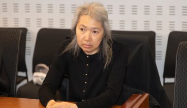 Dublin-resident French woman sentenced to 12 years over murder of her daughter in Iceland hotel – The Irish Times