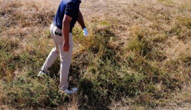 Bryson DeChambeau’s dramatic week at The Open revealed a fragile kind of showmanship – The Irish Times