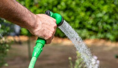 National hosepipe ban comes into force on Friday amid drought fears – The Irish Times