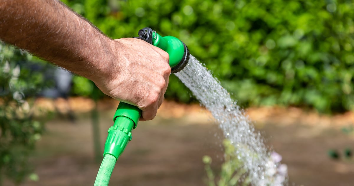 National hosepipe ban comes into force on Friday amid drought fears – The Irish Times