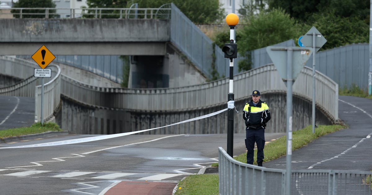 Teenager dies after falling from e-scooter in Carlow – The Irish Times