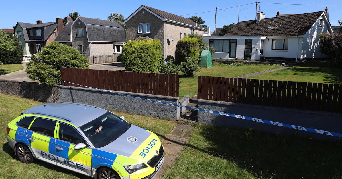 Ballymena deaths: Police treating incident as ‘double murder followed by a sudden death’ – The Irish Times