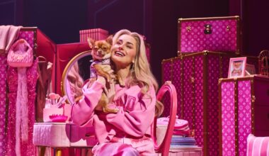 Legally Blonde: The Musical review – Two stars from me, what sounds like five from the audience – The Irish Times