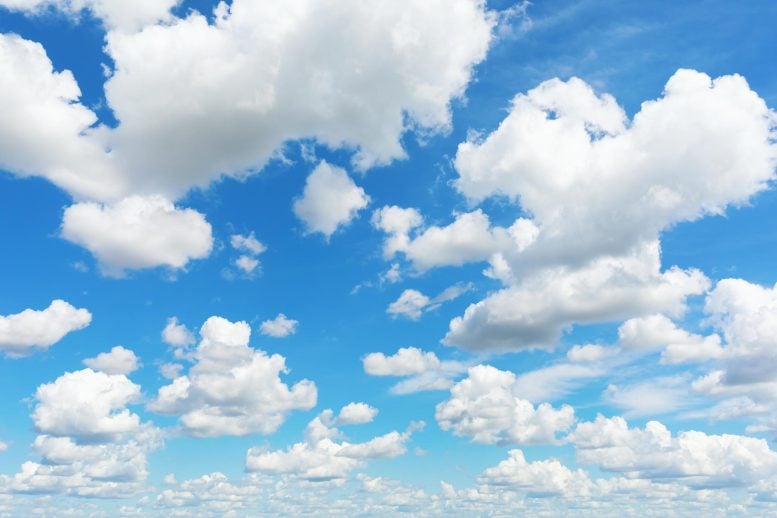 White Clouds Blue Sky