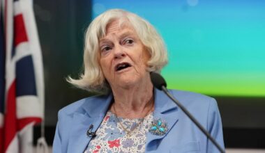 Ann Widdecombe was hit 21 times on the head with a hammer, London court told – The Irish Times