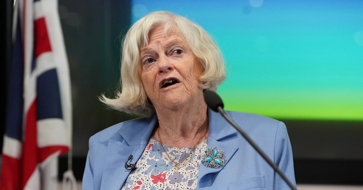 Ann Widdecombe was hit 21 times on the head with a hammer, London court told – The Irish Times