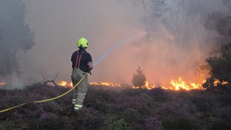 The scene of a wildfire at Dunwich Heath, near Leiston, Suffolk. Photograph: Suffolk County Council/PA Wire 