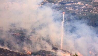 Retailers to be asked to suspend disposable barbecue sales due to threat of wildfires – The Irish Times