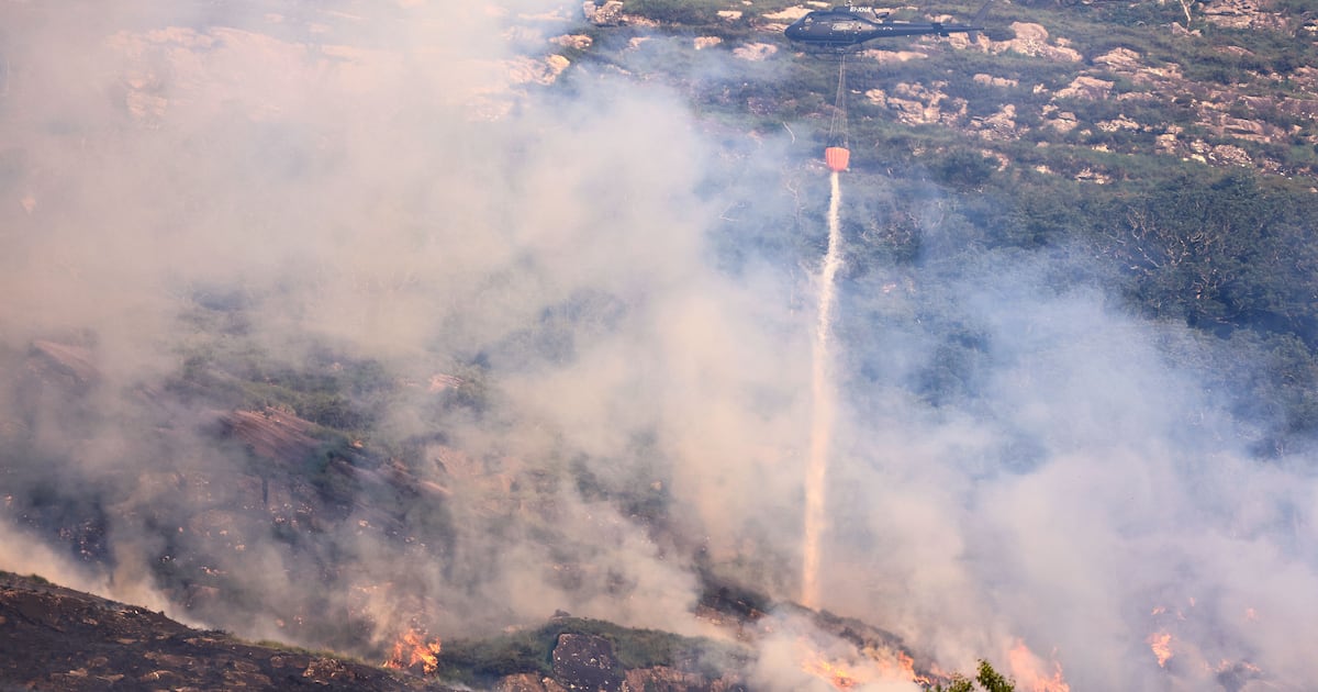 Retailers to be asked to suspend disposable barbecue sales due to threat of wildfires – The Irish Times