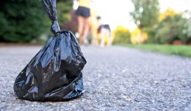 Dog fouling: Council claims it is ‘impossible’ to catch people not picking up after pets – The Irish Times