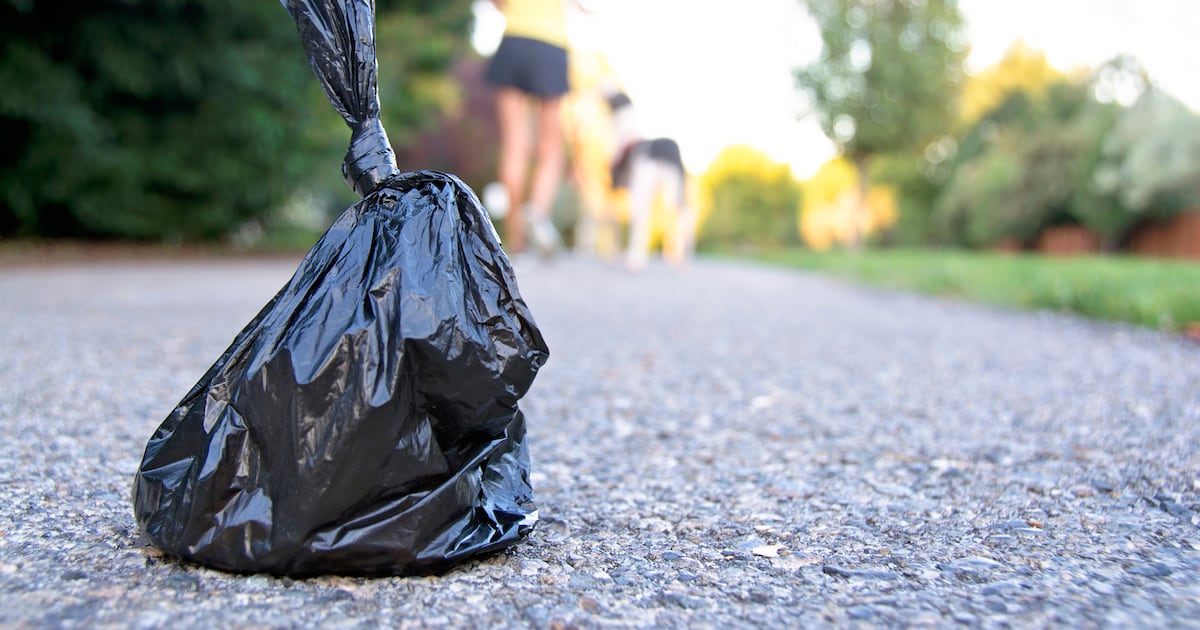 Dog fouling: Council claims it is ‘impossible’ to catch people not picking up after pets – The Irish Times