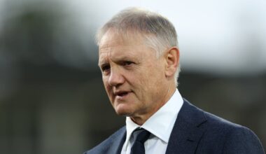 Joe Schmidt to take consultancy role with Ulster Rugby – The Irish Times