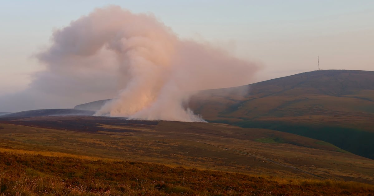 Firefighters battle large blazes in the Dublin and Wicklow mountains – The Irish Times