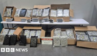 Cannabis and cocaine worth €1.95m seized in Dublin - BBC