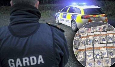 Airsoft pistol seized during Donegal drugs raids