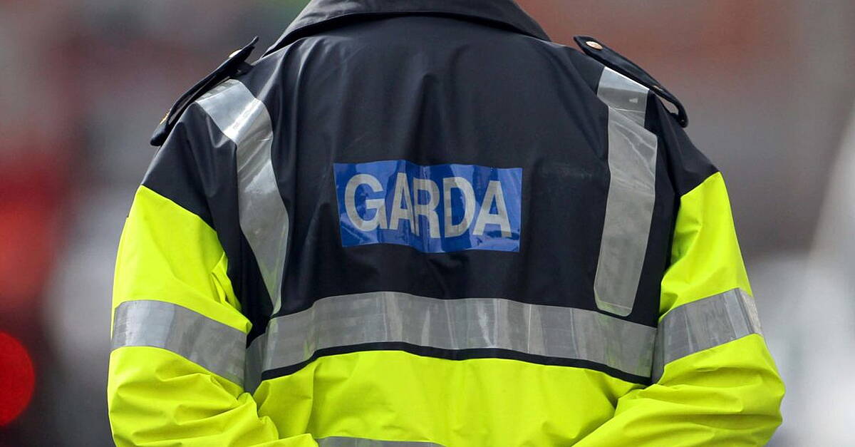 Almost 990 gardaí accompanied 277 returnees on 10 deportation flights since last February