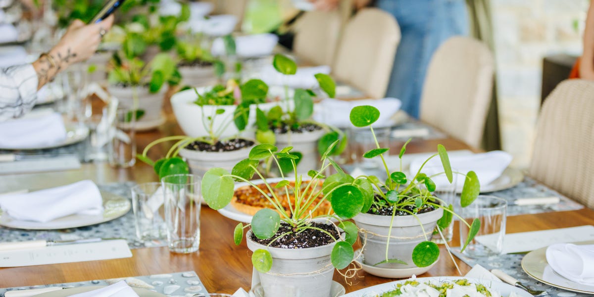 Martha Stewart Hosts a Lunch to Celebrate Her New App