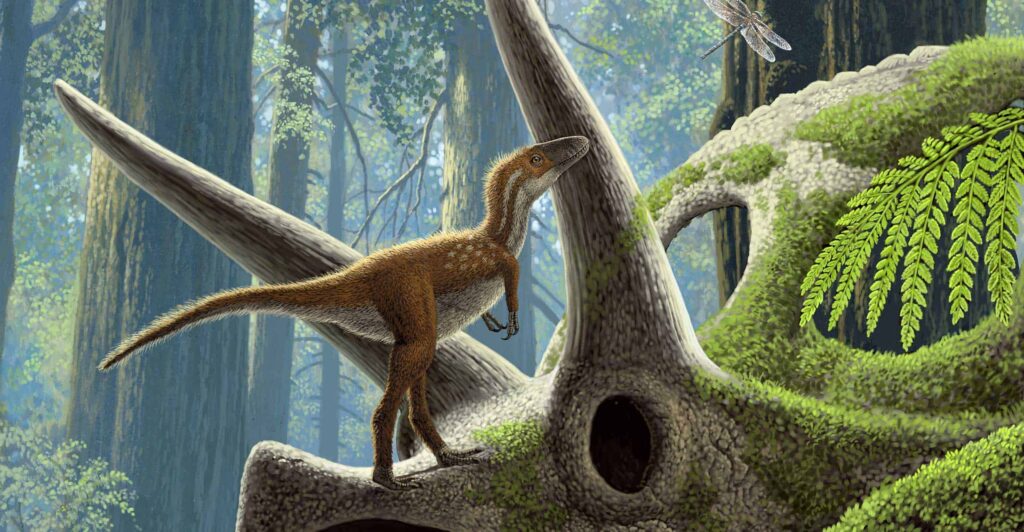 Artist illustration of a dinosaur in a prehistoric forest environment.