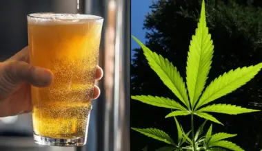 THC-Infused Cannabis Beverages Are Helping People Quit Drinking Alcohol, Survey Shows