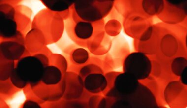 Lung Immune Cells Protect Against Respiratory Infections