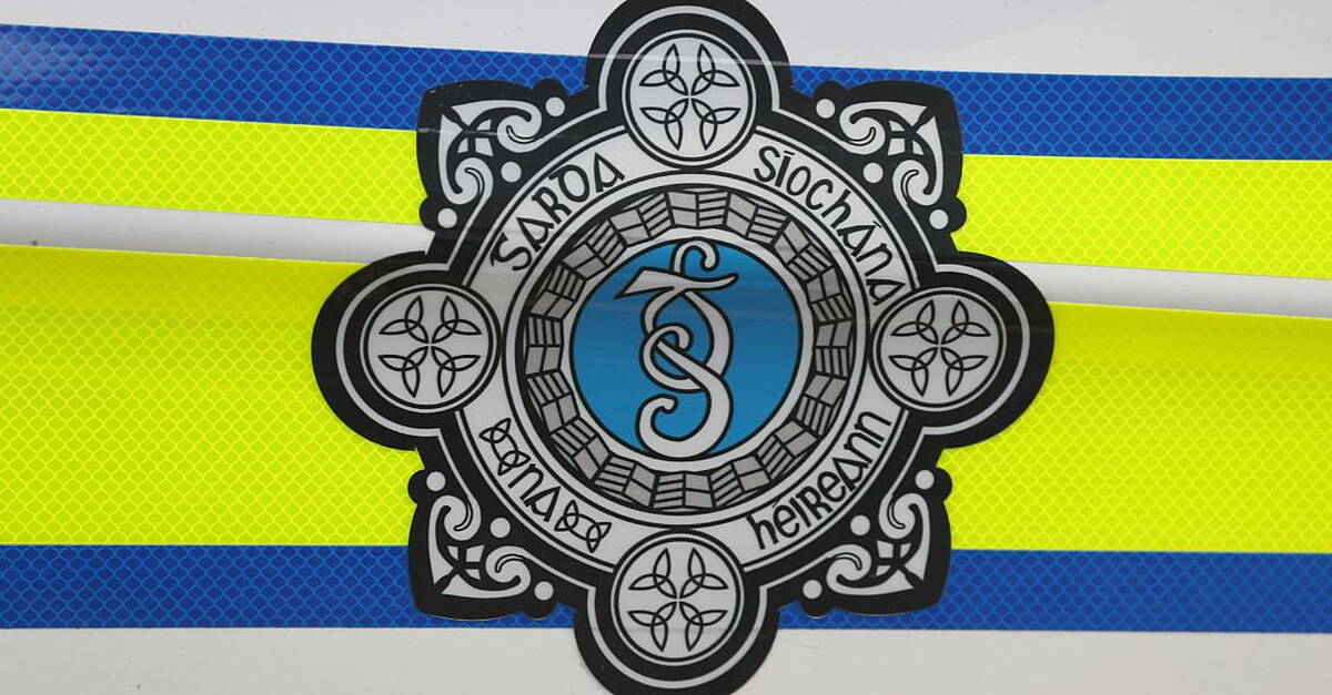 Body of a man found at recycling facility in Dublin