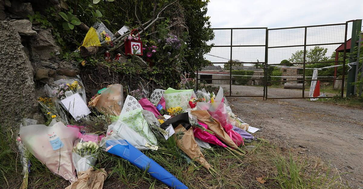 Boy A’s appeal against life sentence for Ana Kriegel murder to be heard next year