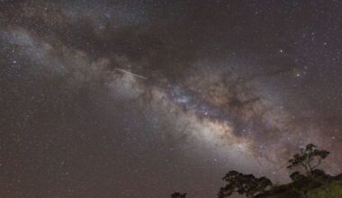 How and when to watch July’s double meteor shower peak