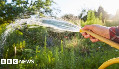 Hosepipe ban across Republic of Ireland but NI avoids same precaution - BBC