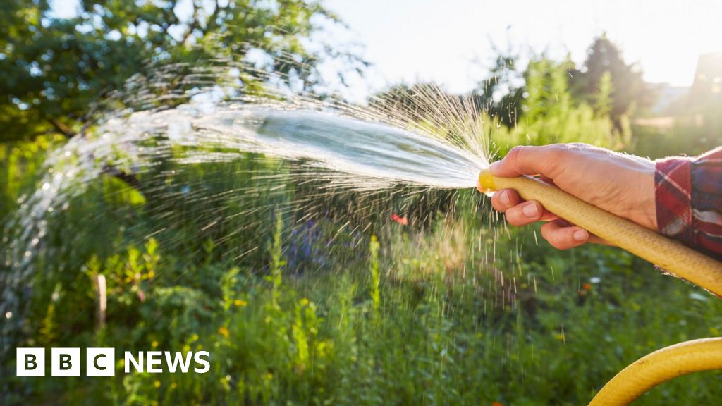 Hosepipe ban across Republic of Ireland but NI avoids same precaution - BBC