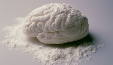 Neuroscience News logo for mobile.