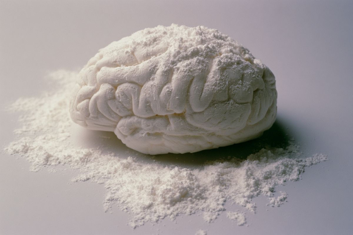 Neuroscience News logo for mobile.