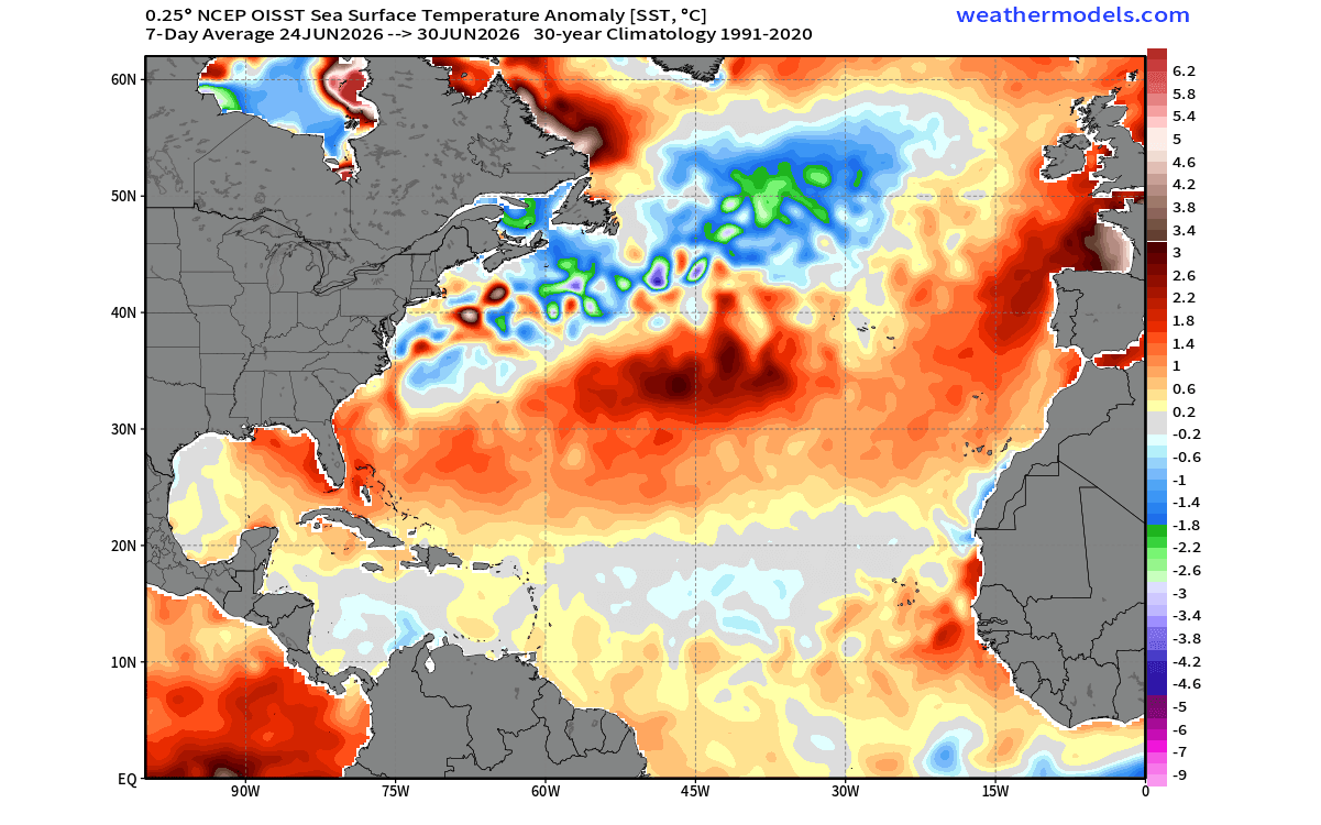 cold-anomaly-atlantic-united-states-canada-winter-impact-surface-ocean-temperature-one-week-average