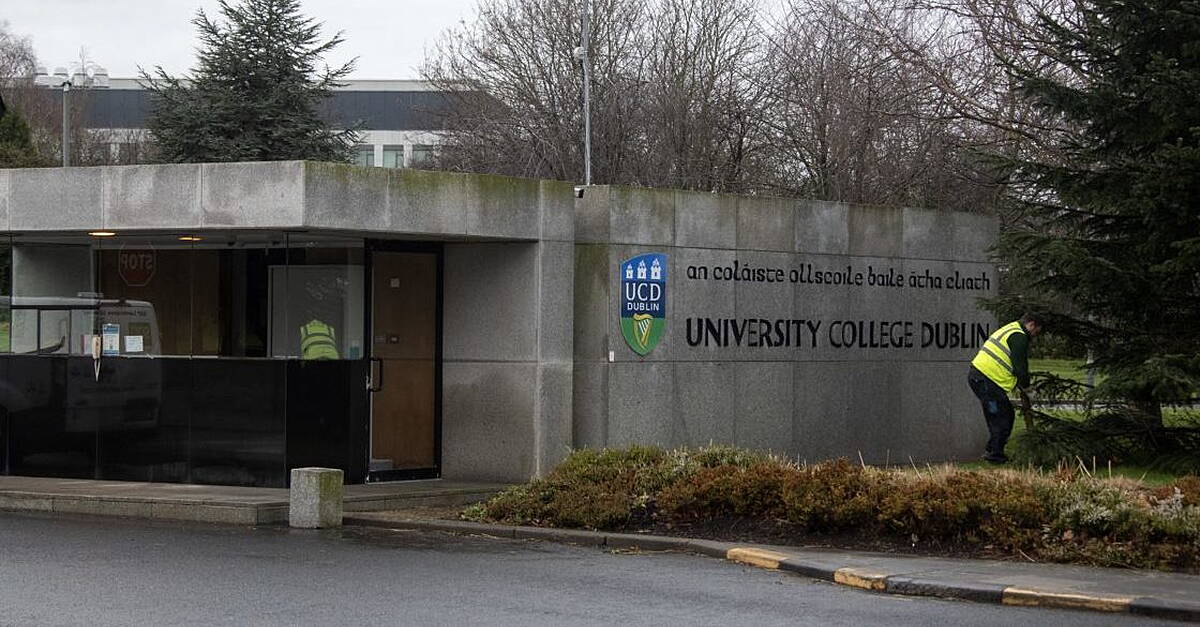 Court reserves judgment on student’s challenge over how UCD dealt with her studies after alleged rape