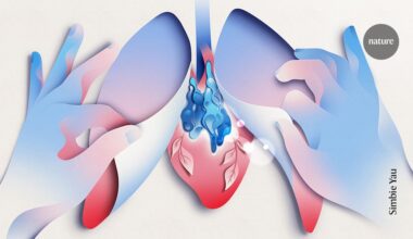 Could this mysterious disappearing organ hold the key to longevity?