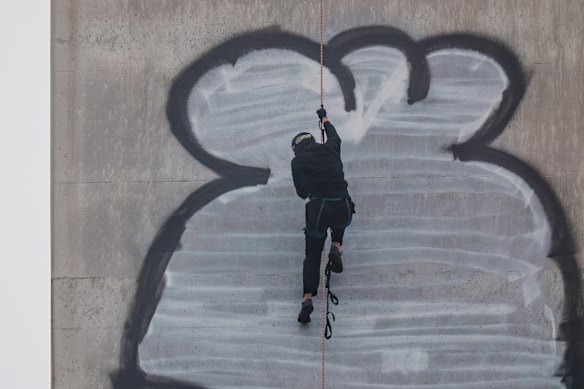 The alleged Pam the Bird graffiti artist descends from the Bolte Bridge pylon on Tuesday morning.