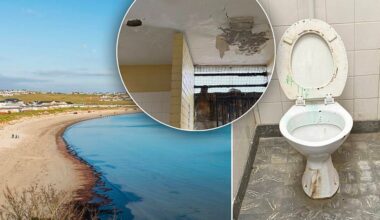 Demand for action on seaside toilets: ‘I wouldn’t put my dog into them’