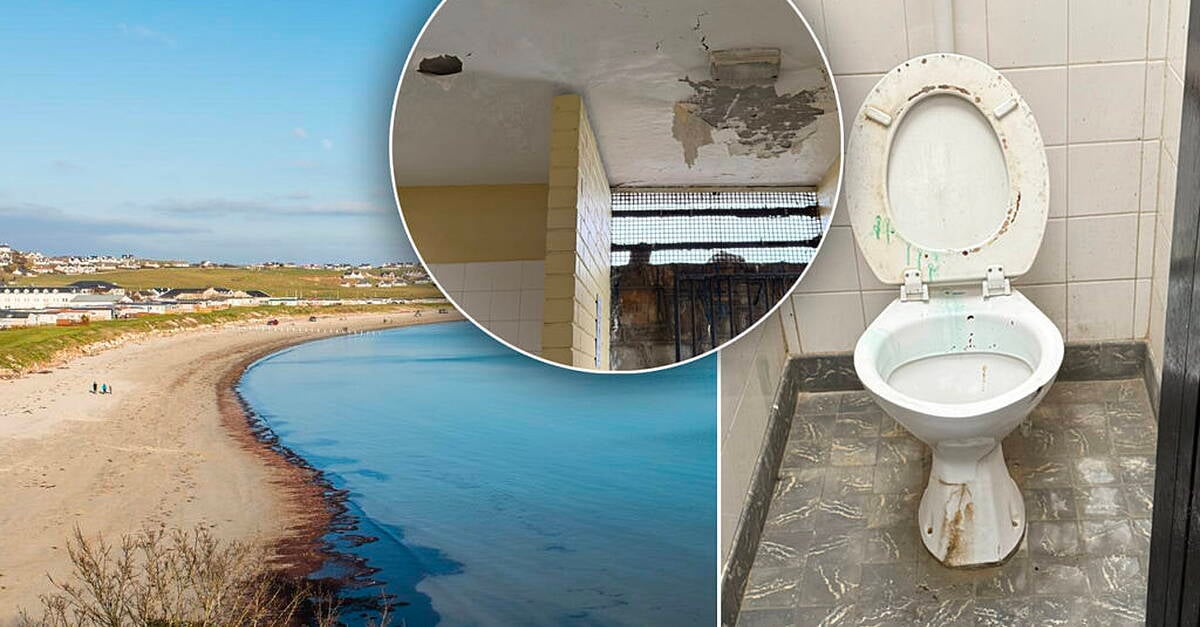 Demand for action on seaside toilets: ‘I wouldn’t put my dog into them’